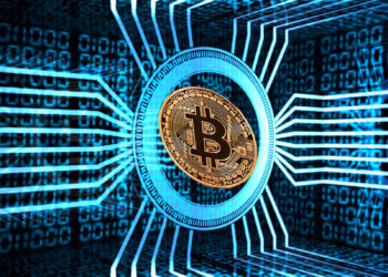 Bitcoin Treasury Trend Grows as Firms Boost Holdings