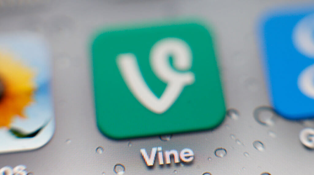 Musk Says AI-Powered Vine Set to Return via X