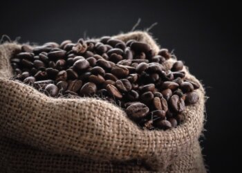 Brazil Coffee Farmers Fear U.S. Tariff Shock